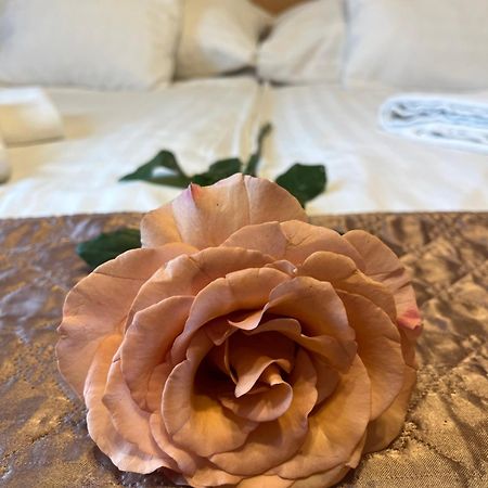 Hotel Rose City Βουδαπέστη Εξωτερικό φωτογραφία