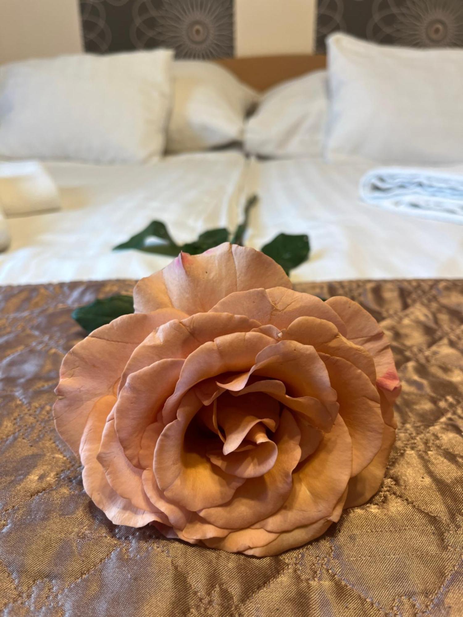 Hotel Rose City Βουδαπέστη Εξωτερικό φωτογραφία